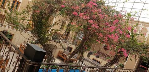 SARAYE KOHAN HOTEL (Yazd) - Hotel Reviews & Photos - Tripadvisor