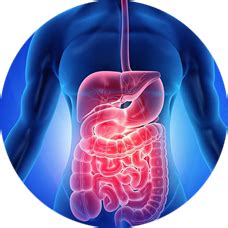 IPGMER SSKM Hospital Kolkata West Bengal India