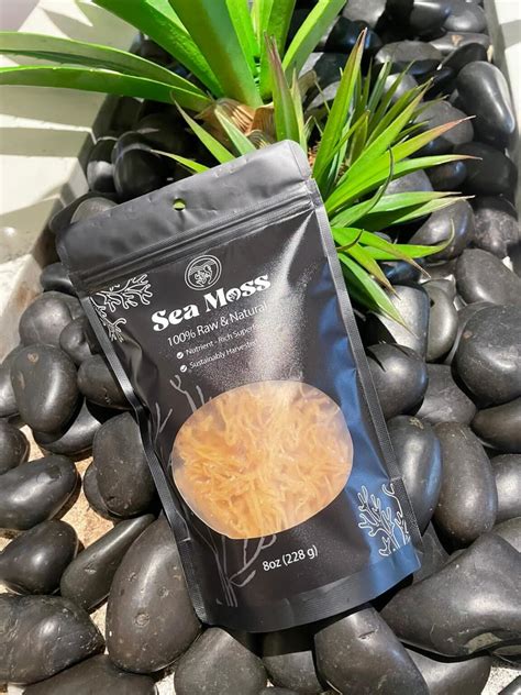 Sea Moss Benefits and Side Effects: Complete Guide