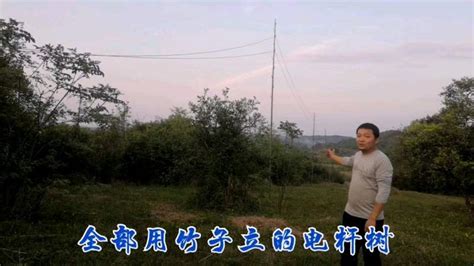 农村小伙为荒山供电，拉了1000米电线，用竹子立电线杆,三农,农民生活,好看视频