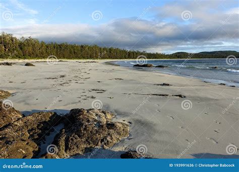 Sea View 的图像结果