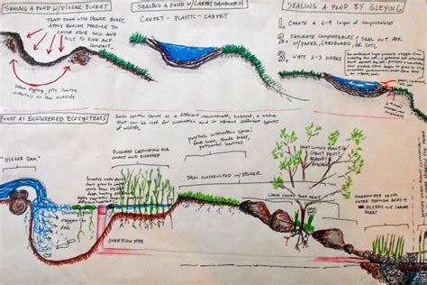 Ecosystem Design 的图像结果