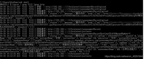 ADB PowerShell 的图像结果