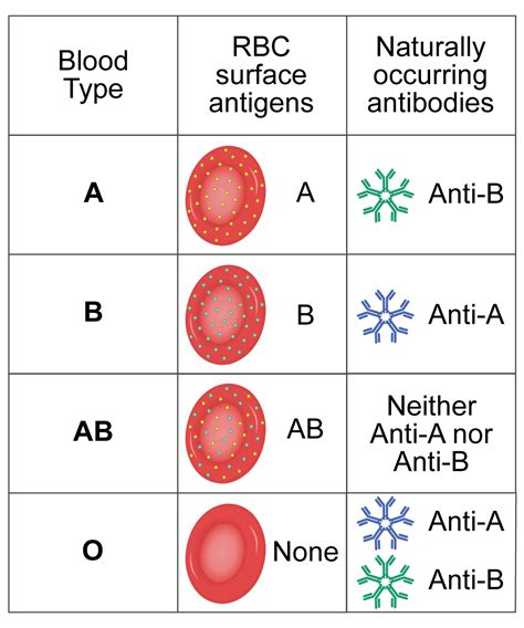 Blood Type Chart Antigens Antibodies