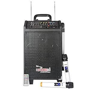 5 Core Trolley Type PA Personal DJ System : Amazon.in: Musical Instruments