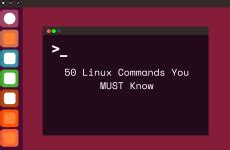 Image result for How to Read File DB On Linux