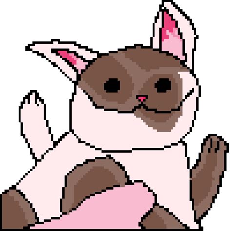 Pop Cat GIFs | GIFDB.com