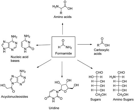 From Formamide to RNA, the Path Is Tenuous but Continuous