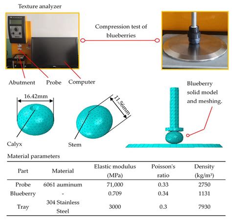 Finite Element Analysis and Near-Infrared Hyperspectral Reflectance ...