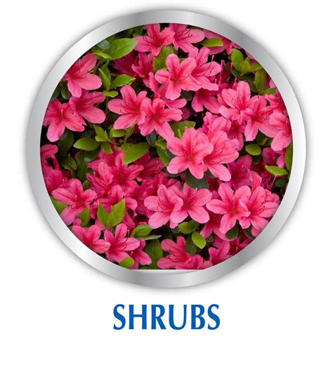 Alaska Fish Emulsion Plant Food - 32 oz in Nepal at NPR 3819, Rating: 4.7