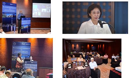 INAE-NAEK Workshop on Advanced Materials for Sustainable Development ...