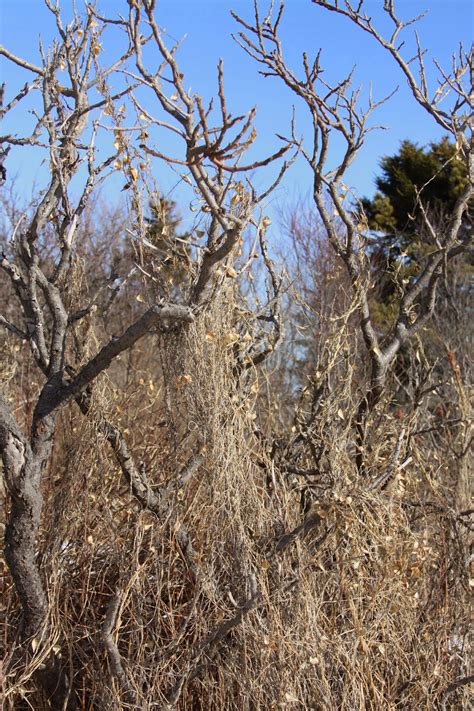 Two Lights State Park - Cape Elizabeth, Maine