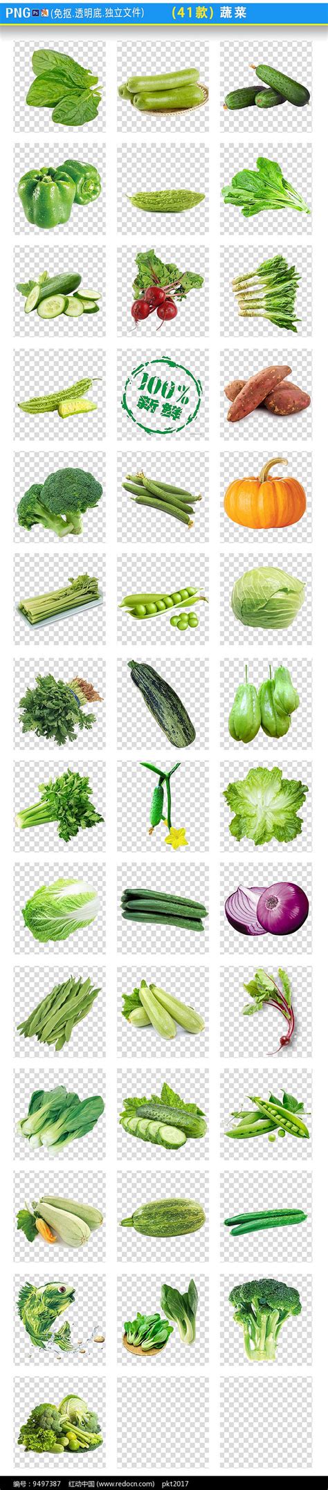 好听的蔬菜名字,1000个蔬菜名字,1000种蔬菜名字_大山谷图库