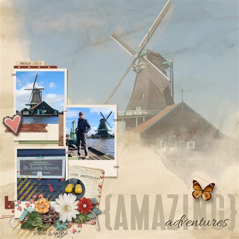 Amazing Views Adventure 的图像结果