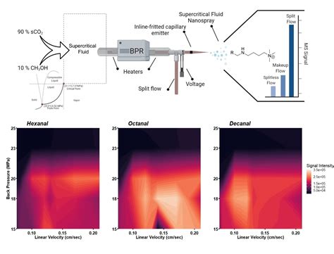 Image result for High Entropy SCO2