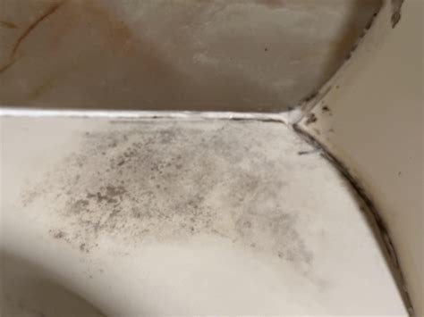 How to get rid off soaps scum from bath tub : r/Plumbing
