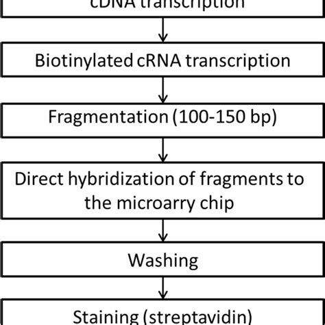Microarray Method 的图像结果