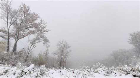 初雪飘落！吉林省多地降下2020年秋后第一场雪！