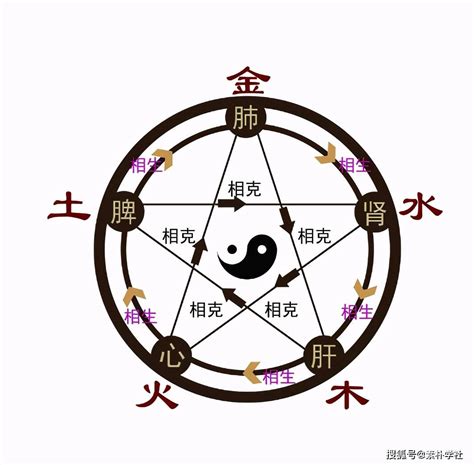 十二地支图册_360百科