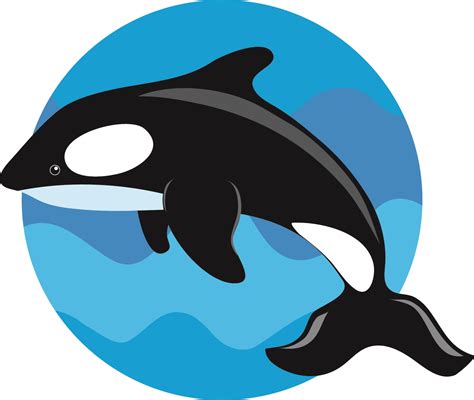 Orca killer whale clip art related keywords - WikiClipArt