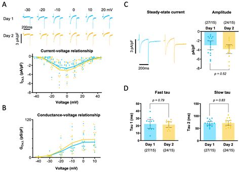 Impact of Overnight Storage of Human Atrial Myocytes on Intracellular ...