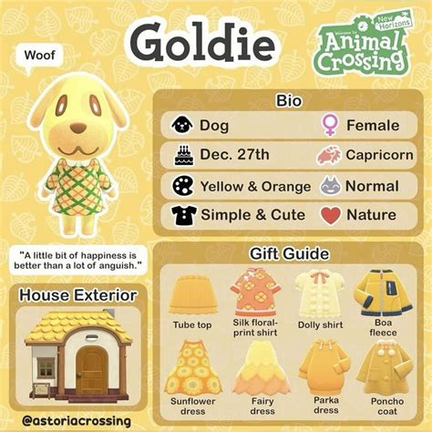 Goldie ACNH 🐶🔆 | Dreamies, Animal crossing charaktere, Animal crossing
