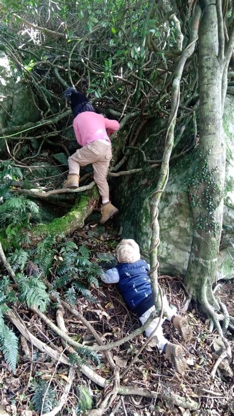 Nature Kids 的图像结果