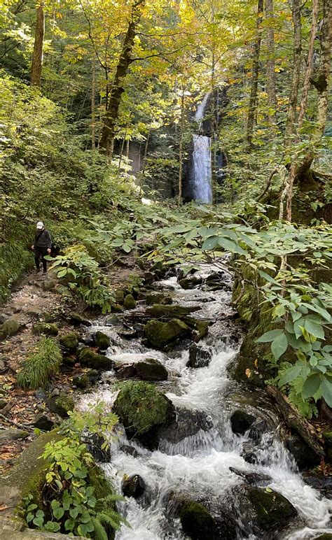 Image result for Random Walk Beautiful