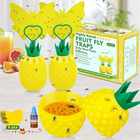 Amazon.com : FGALL Fruit Fly Traps for Indoors,Gnat Traps with Yellow ...
