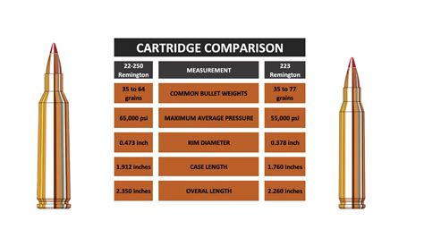 22-250 vs 223: Which Cartridge Is Better? | Field & Stream