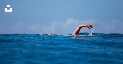 Swimming 的图像结果