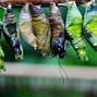 Image result for cocoons