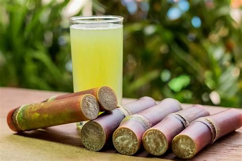 manfaat air tebu dan efek sampingnya