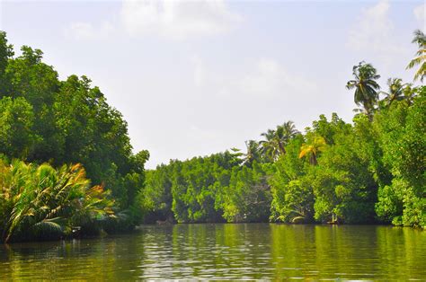 Climate Change News 27 February - 27 March 2024 - SAR-CLIMATE