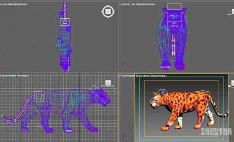 金钱豹骨骼绑定行走动画3D模型 - 动物3D下载-打造最全最好的动物3D模型下载网。 - 三维模型下载网—精品3D模型下载网