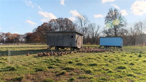 Privacy Policy | Walden Local Meat | Meat Delivery Subscription