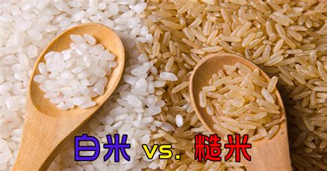 粳米和大米的区别 哪个营养价值更高 - 生活百科 - 微文网(维文网)