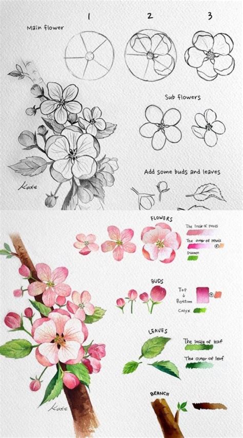 How To Draw How To Draw Flowers