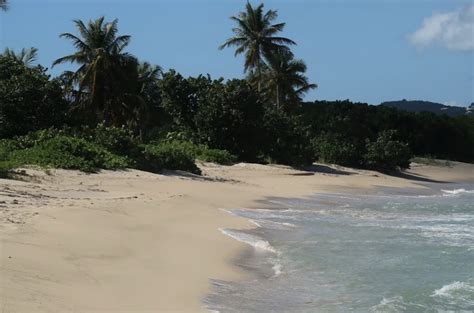 19 Best beaches in St. Croix, USVI - Ultimate guide (October 2025)