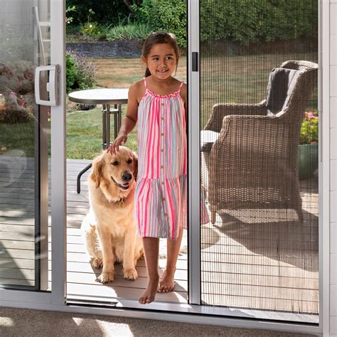 Image result for Insect Screen Installation