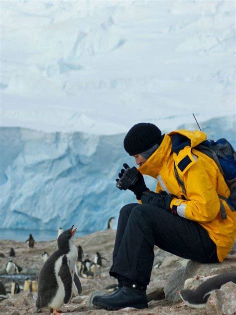 Adorable Penguins! Places to spot them | Times of India
