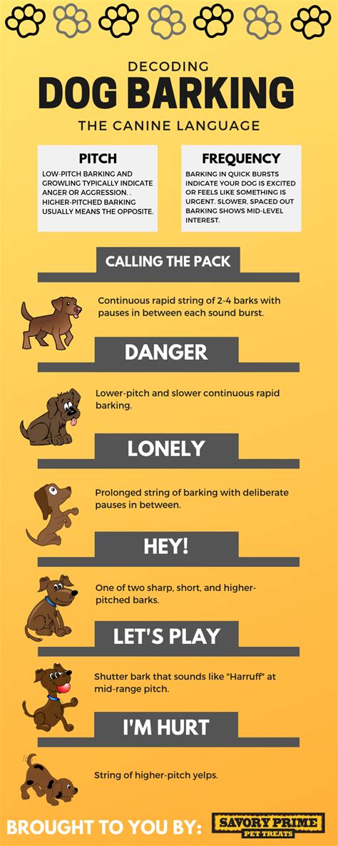 CodeHS Dogs Bark 的图像结果