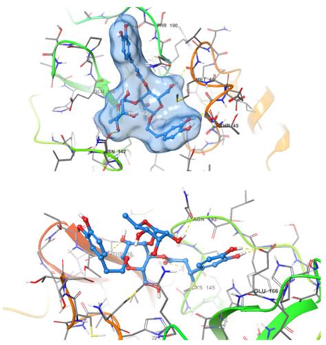 Repurposing of Some Natural Product Isolates as SARS-COV-2 Main ...