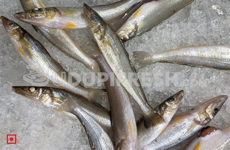 Fresh Kane – Lady Fish, (Medium), 1 Kg – UDUPI FRESH