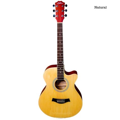 Buy Richtone RT40C Matt Finish Acoustic Guitar | Azad Music