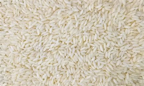 Welcome to Aarush food Grain