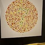 MEDIGUARD Ishihara Test Chart Book for Color Deficiency