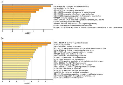 Multi-Level Biological Network Analysis and Drug Repurposing Based on ...