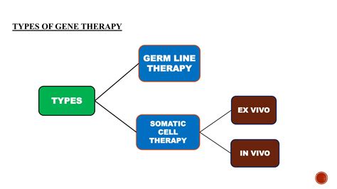 Gene therapy : Types, Gene transfer methods vectors for gene therapy ...