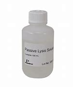 Image result for Lysis Solution